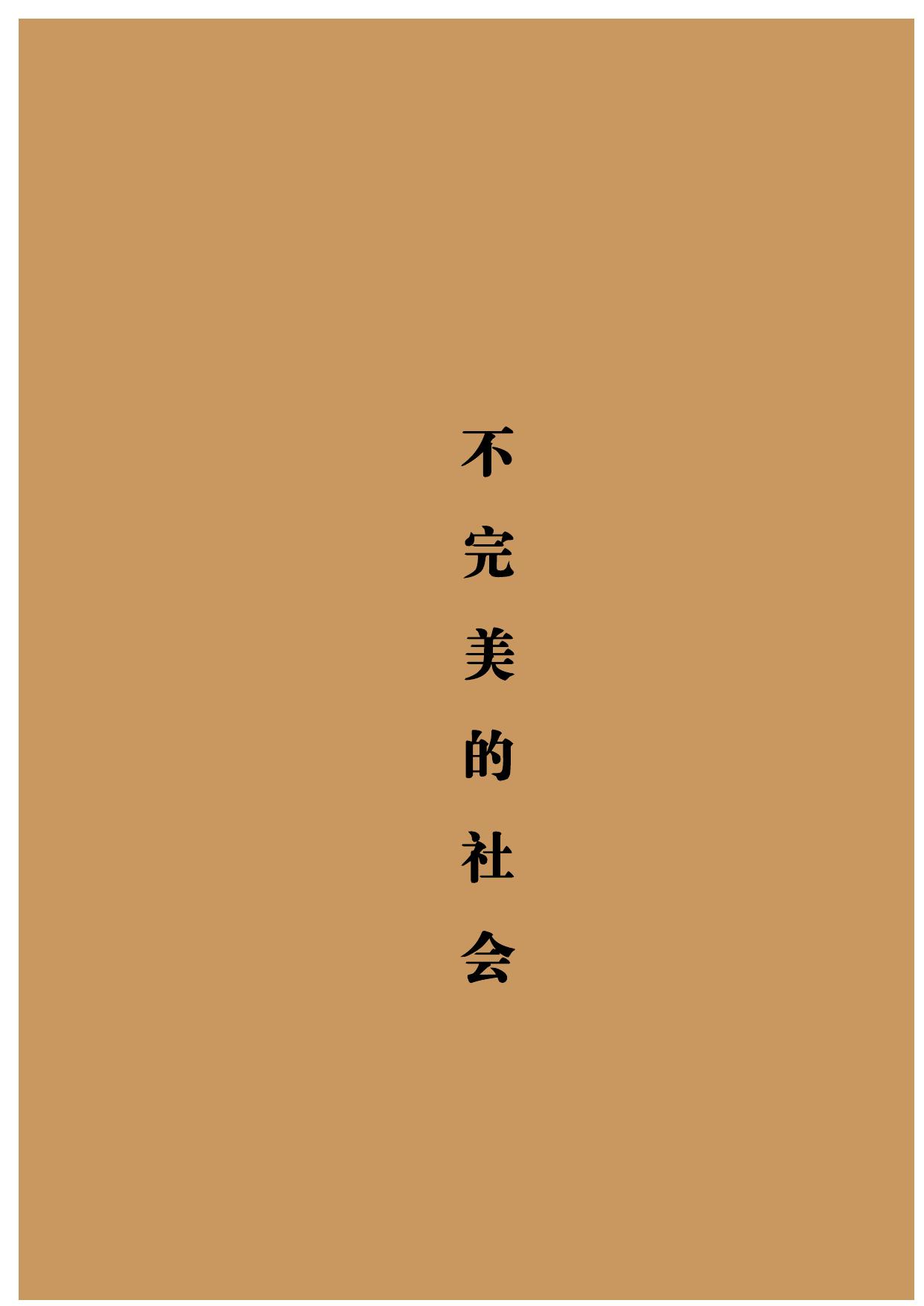 不完美的社会