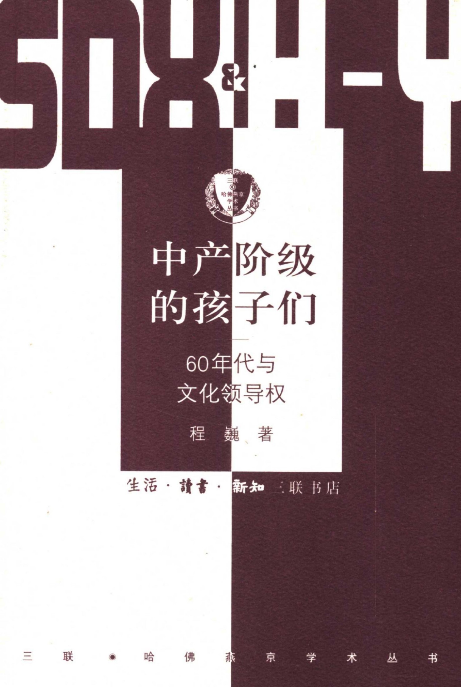 -中产阶级的孩子们