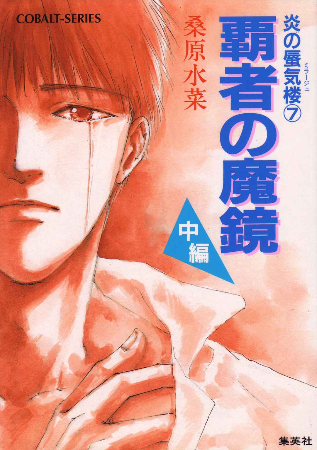 炎の蜃気楼7 覇者の魔鏡（中編）