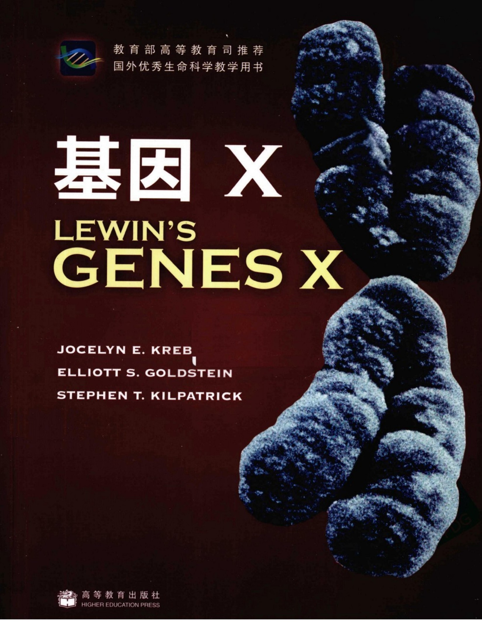 基因X 英文版