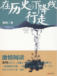 在历史的下降线行走（全本）